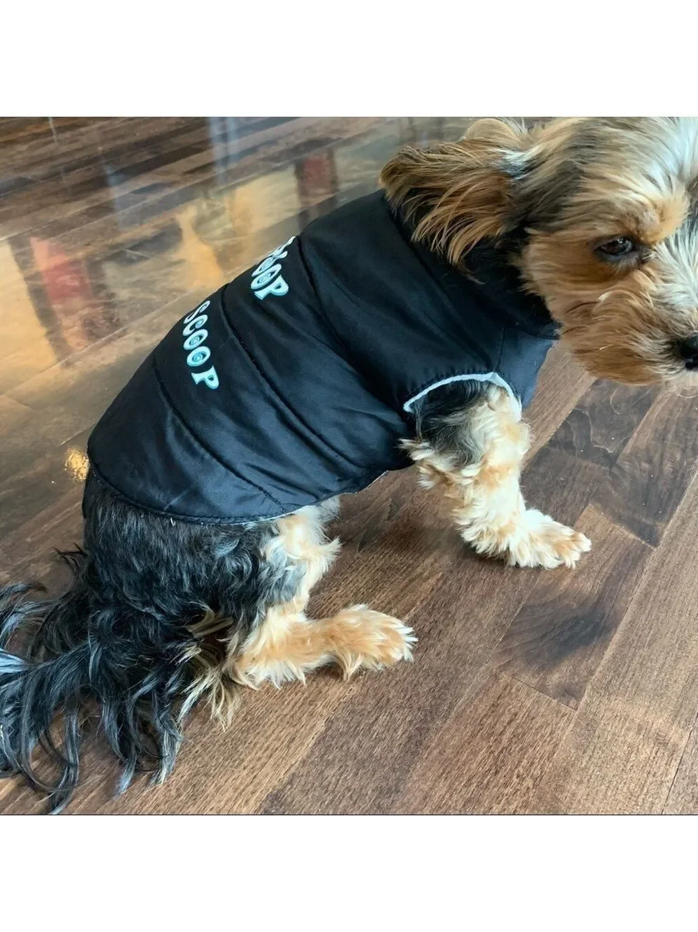 DOG “I Poop You Scoop” Black Coat Sz S